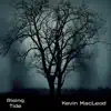 Kevin MacLeod - Rising Tide - Single